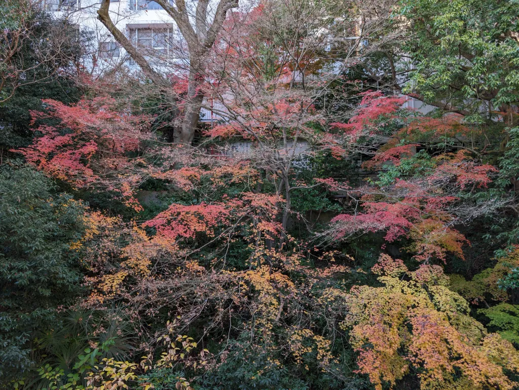 房內風景