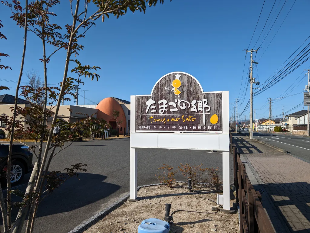 Random Egg Shop