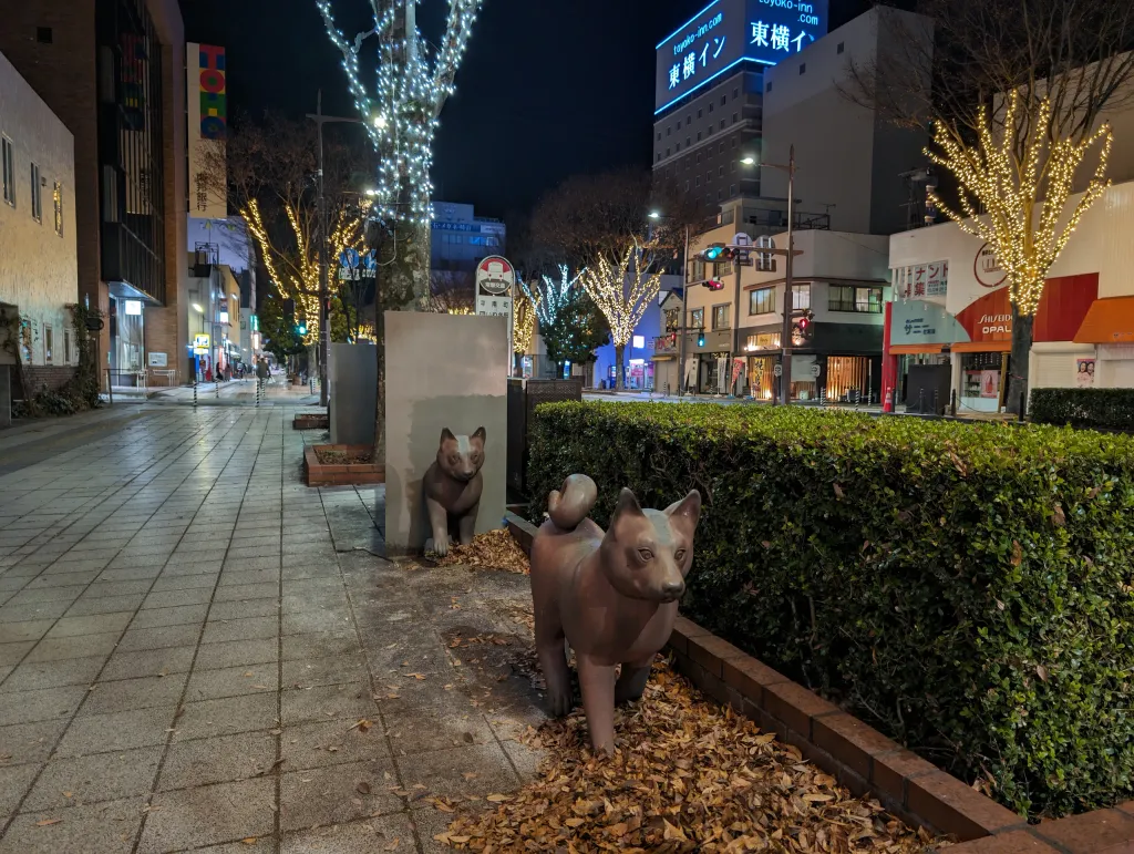 Iwaki City Christmas Light